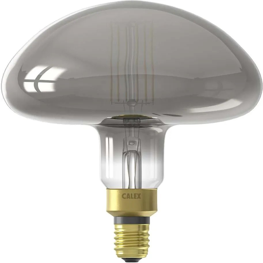Calex Calgary LED lamp - titanium - 6W - Leen Bakker