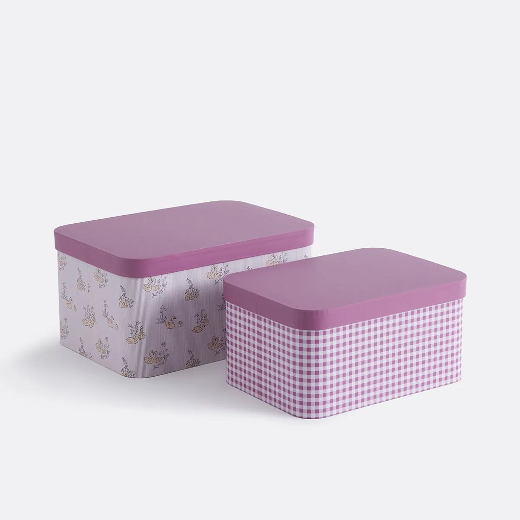 Set van 2 kartonnen opbergdozen, SWAN