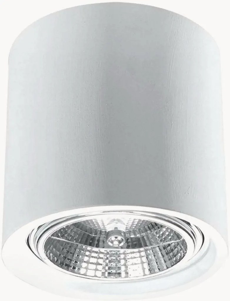 Wandlamp Roxa