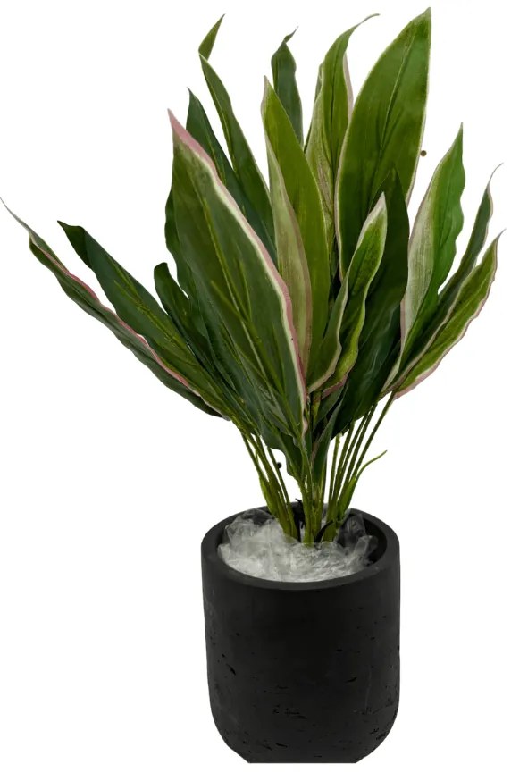 Cordyline Kunstplant - 30 cm