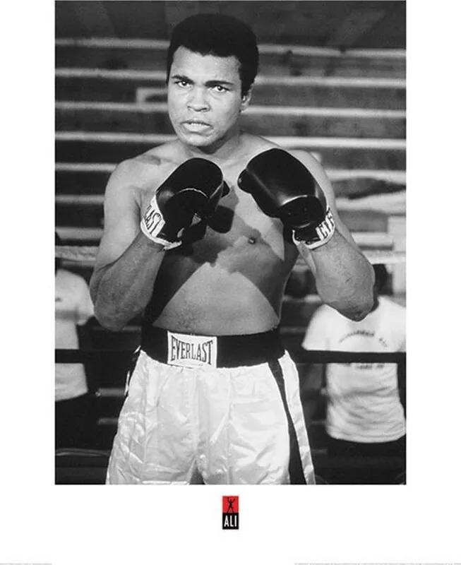 Muhammad Ali Pose Art Print 60x80cm