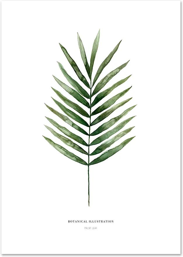 Poster 'Palm Leaf' A3
