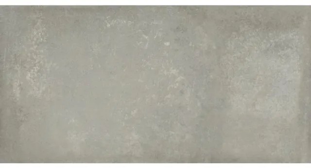 Baldocer Ceramica Grafton wand- en vloertegel - 60x120cm - 10mm - Rechthoek - gerectificeerd - Betonlook - Grijs Mat SW07310904-2