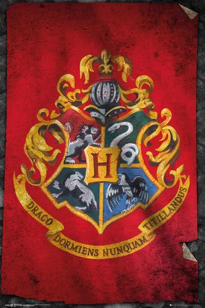 Poster Harry Potter - Zweinstein, (61 x 91.5 cm)