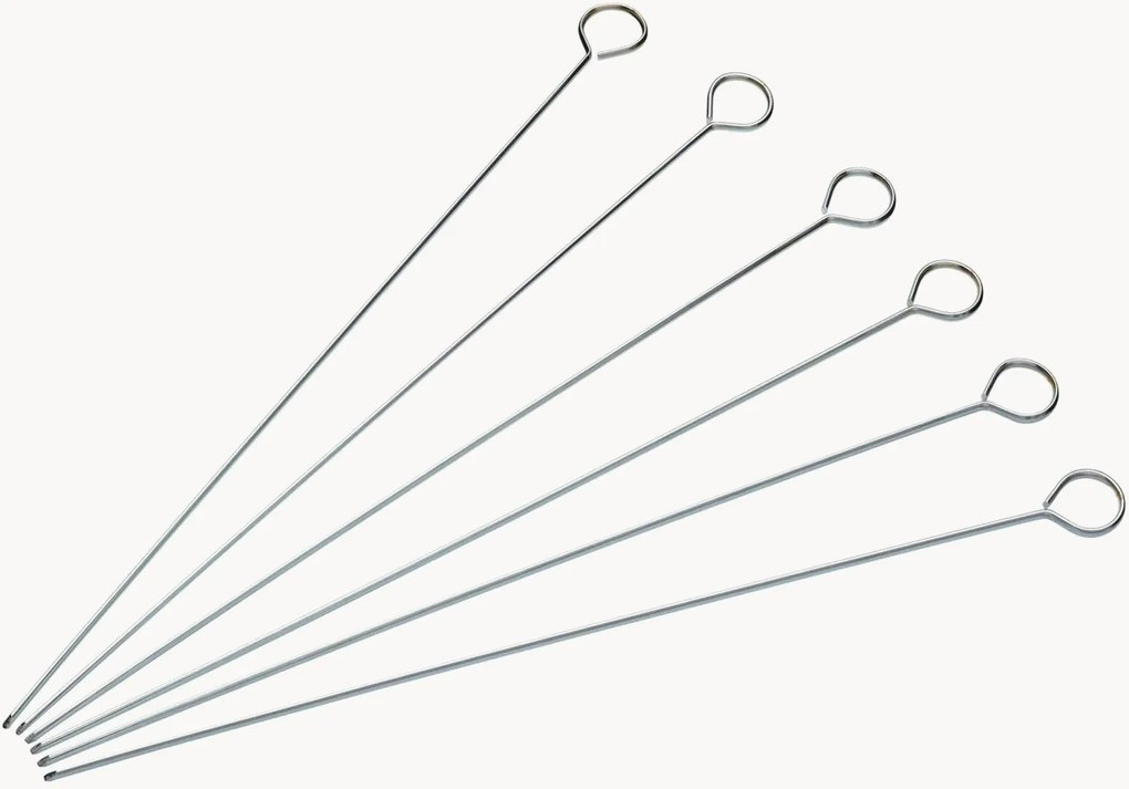 Platte spiesen en barbecueprikkers Spiedo, 6-delig