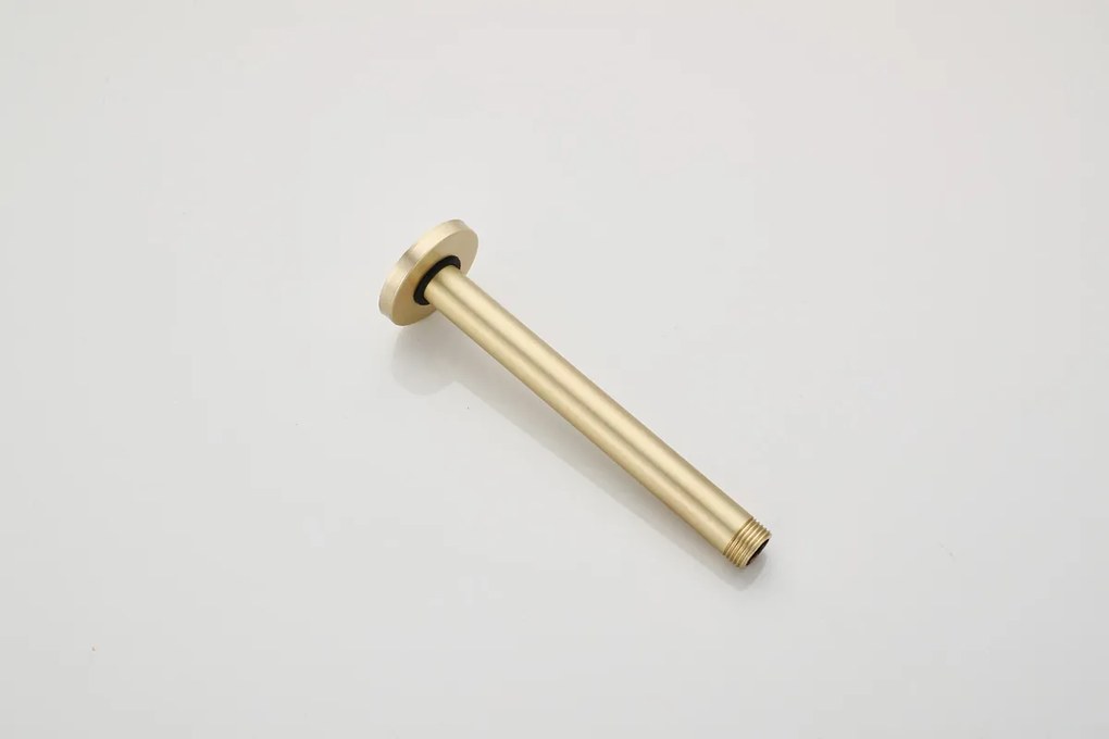 Saniclear Brass inbouwregendouche rond met 20cm hoofddouche, plafondarm, 2 standen handdouche en glijstang geborsteld messing - mat goud