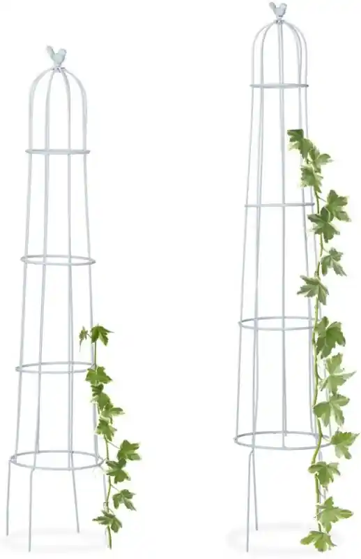 Dicht Miljard hoofdstuk Rankhulp - set van 2 stuks - obelisk - plantensteun - plantenklimrek -  metaal B | Biano