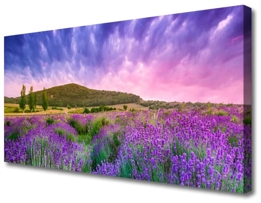 Canvas foto Weide bloemen bergen natuur 100x50 cm