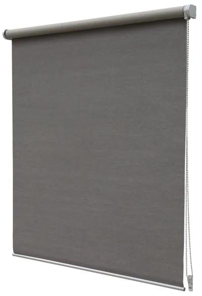 Intensions Rolgordijn 120x190x6cm verduisterend Polyester met kunststof raamwerk Taupe 1185566
