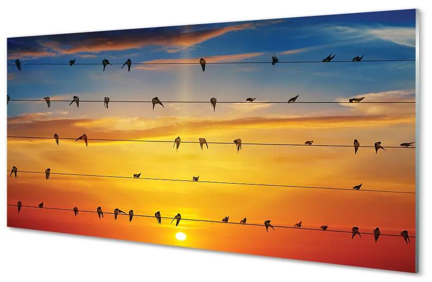 Foto op glas Vogels op de touwzonsondergang 100x50 cm