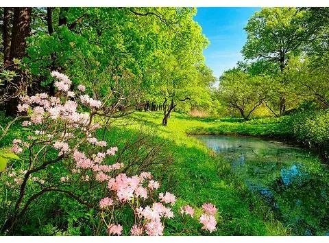 HOME AFFAIRE fotobehang »Park in het voorjaar«, 366x254 cm