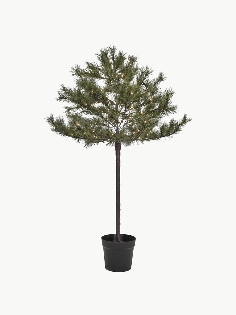 Kerstboom Peuce met LED verlichting en timerfunctie