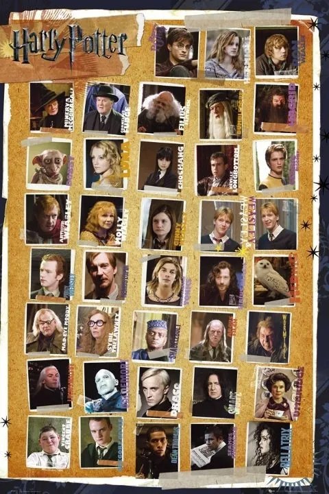 Poster Harry Potter - Karakters