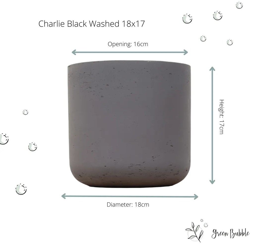 Pot Charlie Black Washed