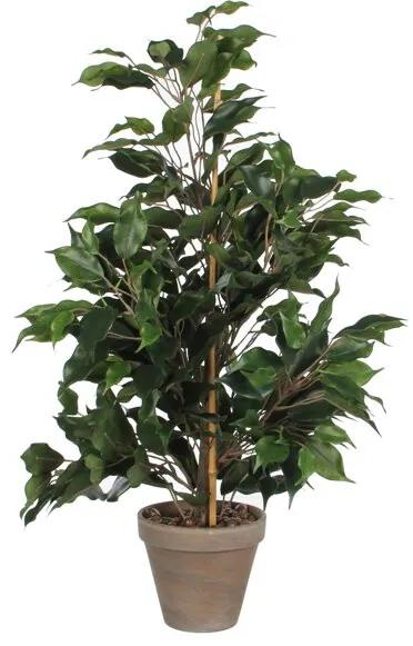 Kunstplant Ficus Exotica groen - H 65cm - Keramiek stenen sierpot grijs-antraciet