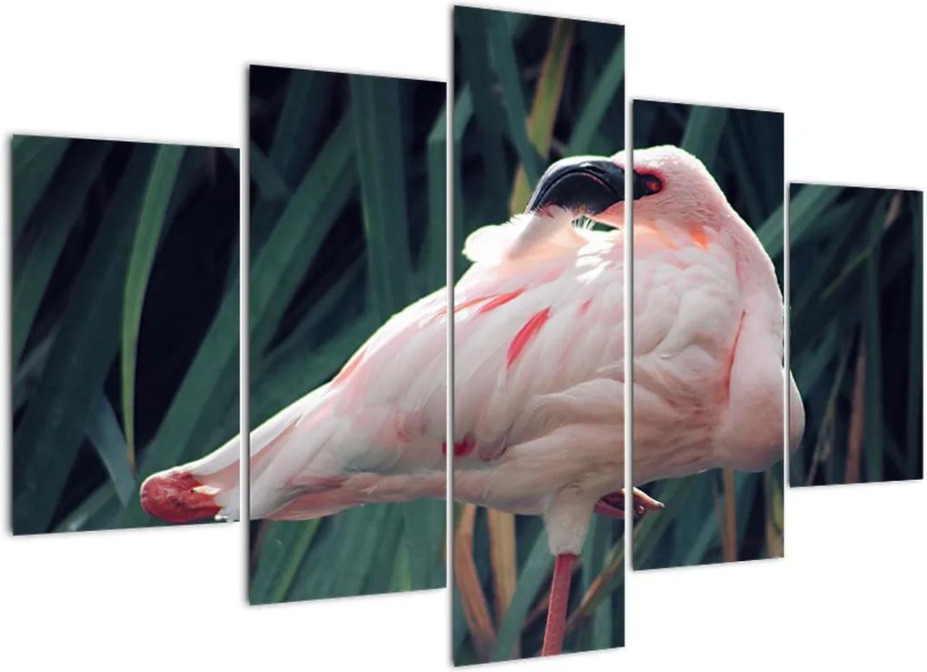 Schilderij - Flamingo (150x105 cm), 40 andere afmetingen