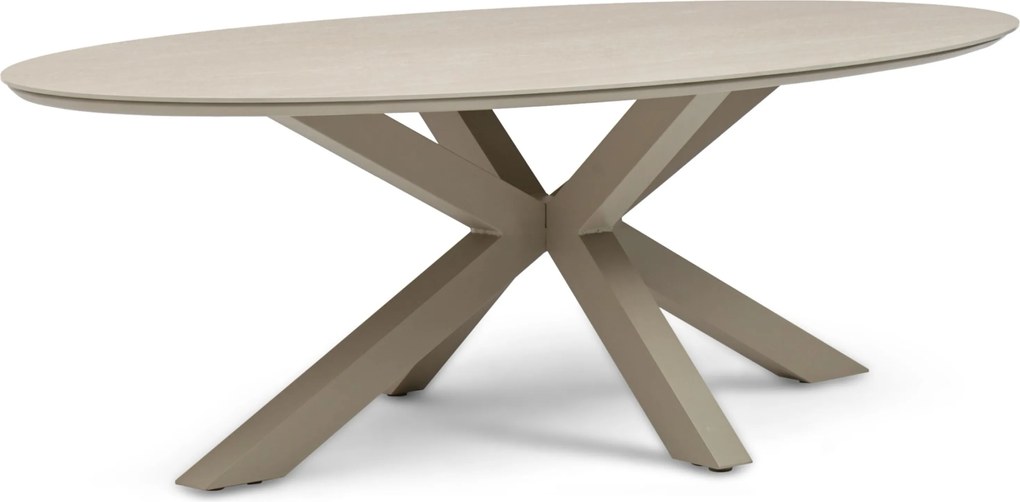 Dining Tuintafel ovaal 240 x 120 cm Taupe Lunea