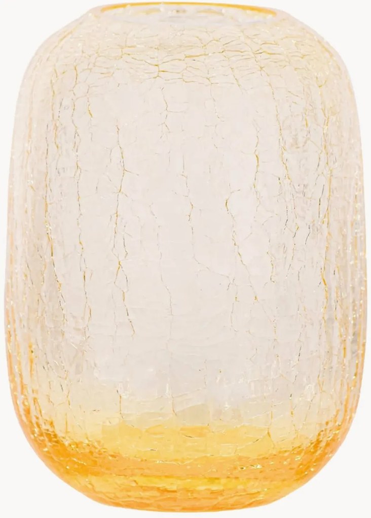 Mondgeblazen vaas Frosty