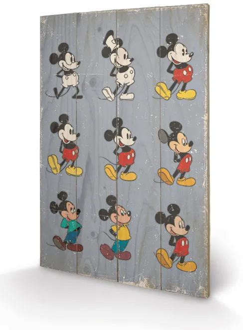 Mickey Mouse - Evolution Schilderij op hout, (40 x 59 cm)