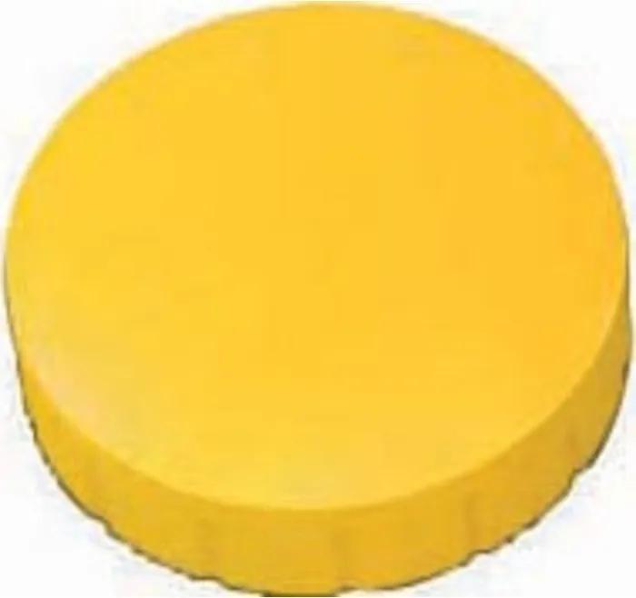 Magneet solid, diameter 24 x 8 mm, geel, doos met 10 stuks
