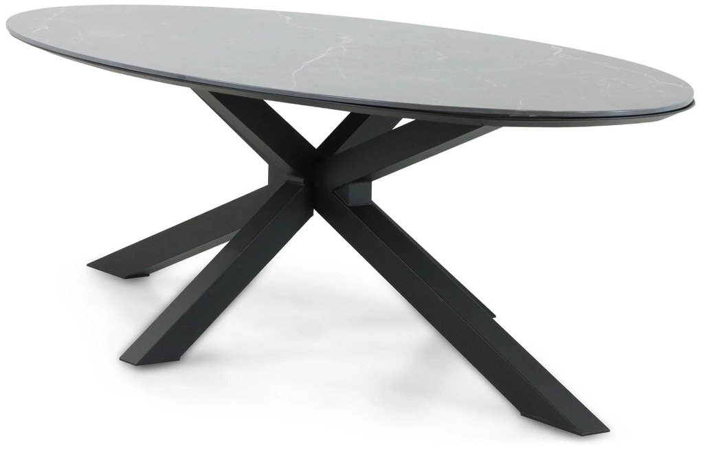 Dining Tuintafel ovaal 240 x 120 cm Aluminium/Ceramic stone Zwart Cervola