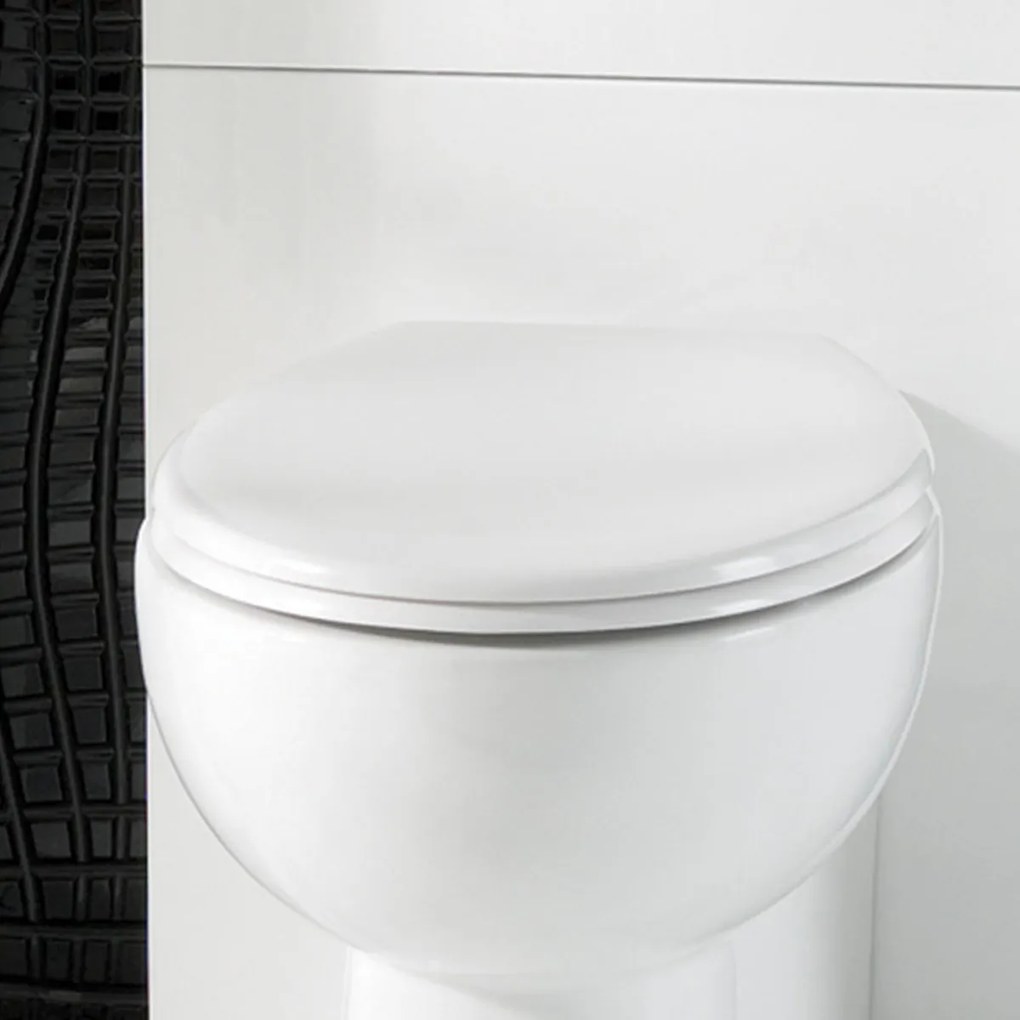 Eastbrook Rhone softclose toiletzitting wit glans