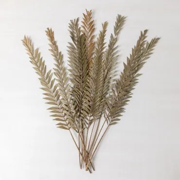 Pack Van 10 Decoratieve Droge Takken Sarat Bamboe Groen - Sklum