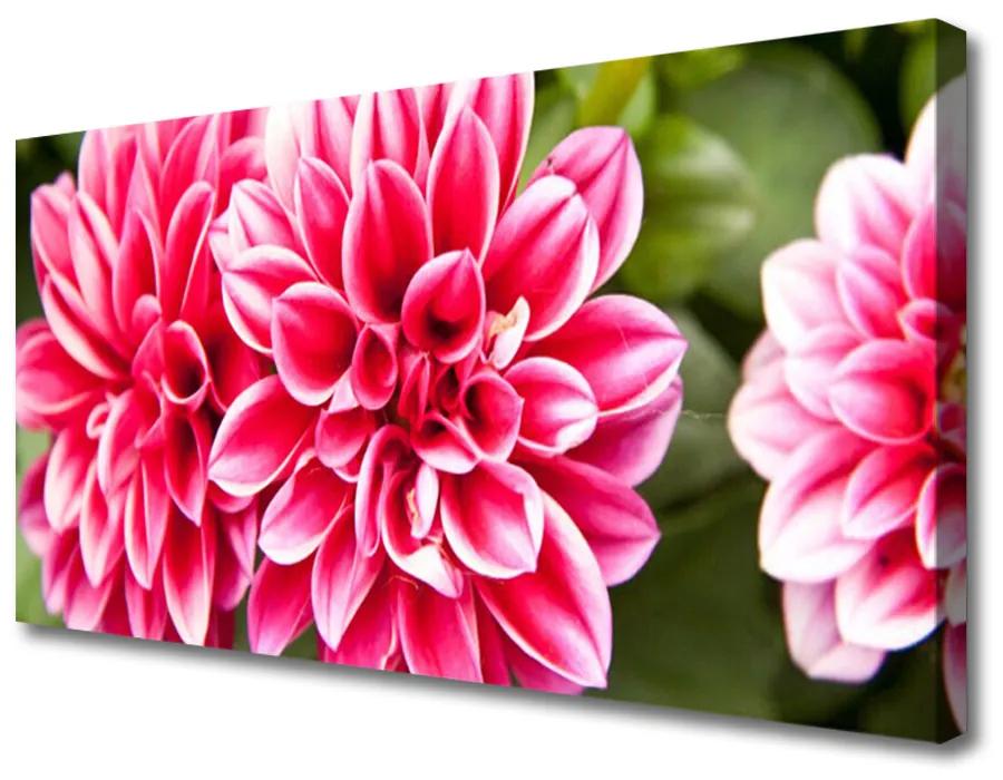 Print op doek Bloemen plant nature 100x50 cm