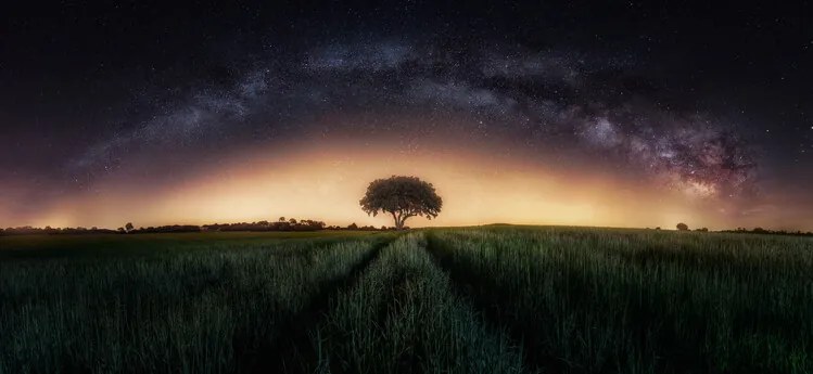 Foto Milky way over lonely tree, Ivan Ferrero