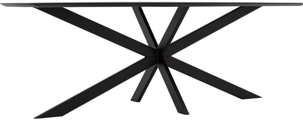 Goossens Excellent Eettafel Uniek, Semi ovaal 260 x 120 cm