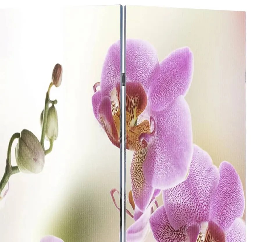 vidaXL Kamerscherm inklapbaar bloem 120x170 cm