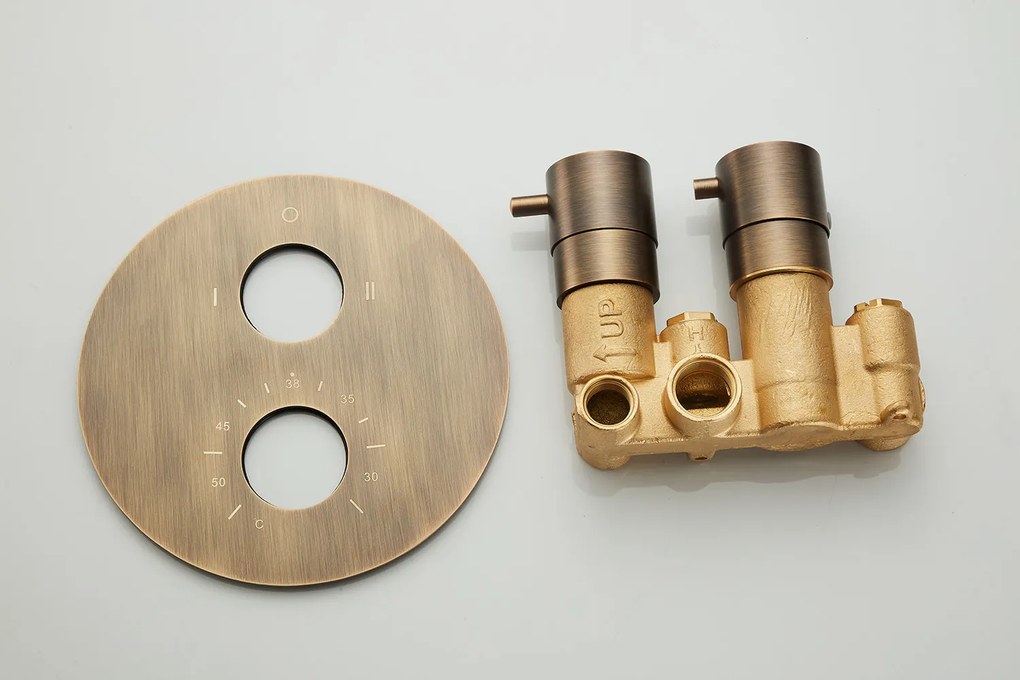 Saniclear Evolution inbouw regendouche rond met glijstang en 2 standen handdouche verouderd messing