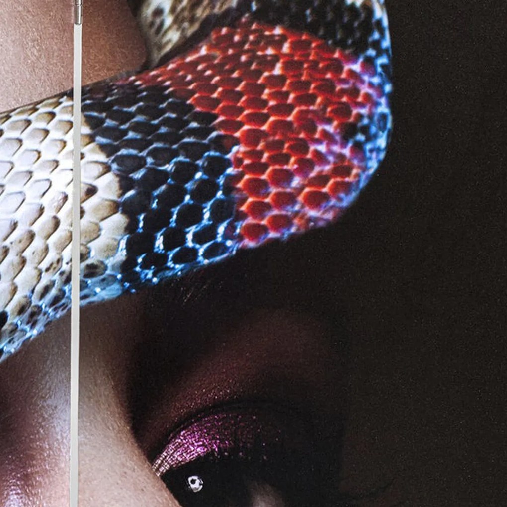 Kare Design Royal Headdress Vs Snake Girl Kamerscherm Dubbelzijdig Schilderij