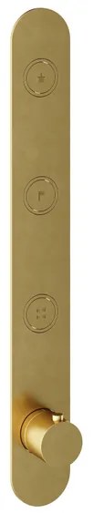 Hotbath Cobber afbouwdeel inbouwthermostaat met 3 pushbuttons verticale plaatsing geborsteld messing (goud) PVD PB050EXTBBP