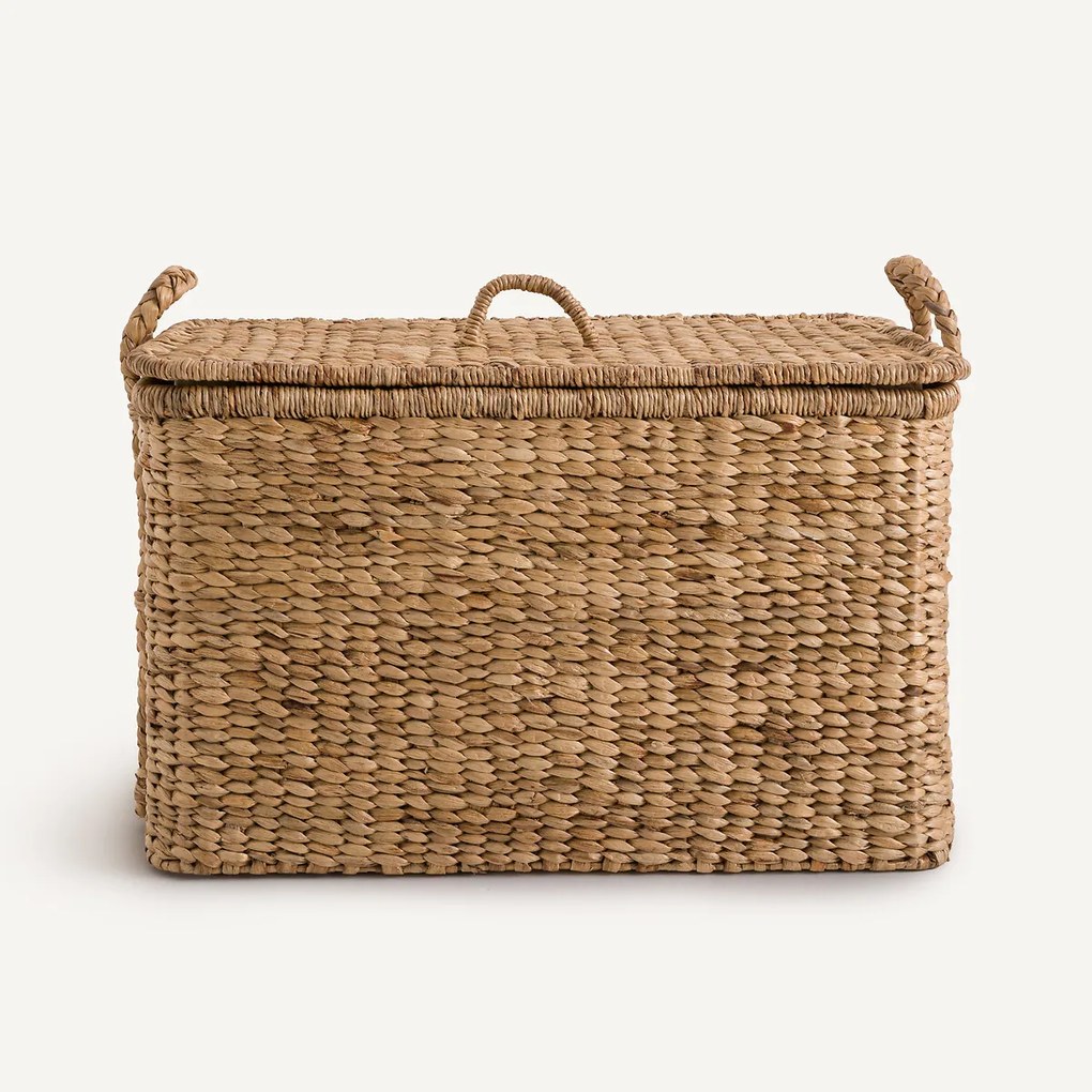 Kist in waterhyacint, Tima