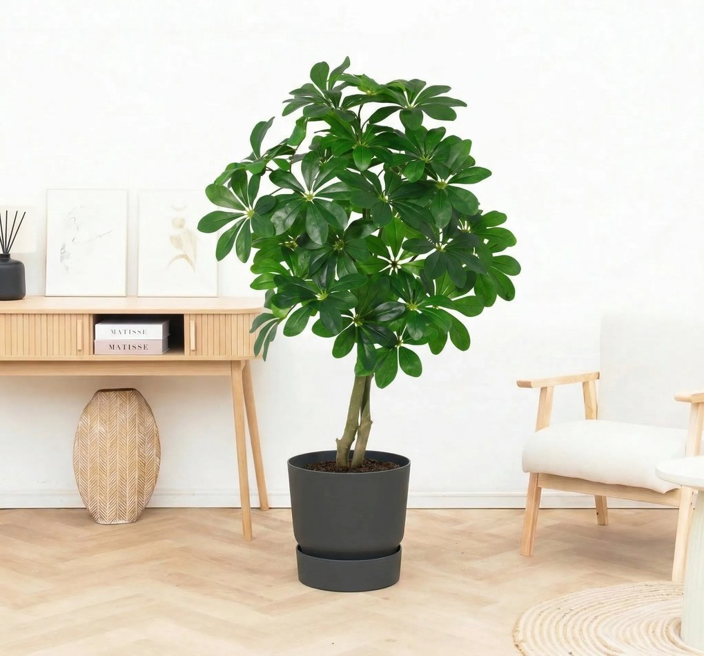 Kunst Schefflera Arboricola - 120cm
