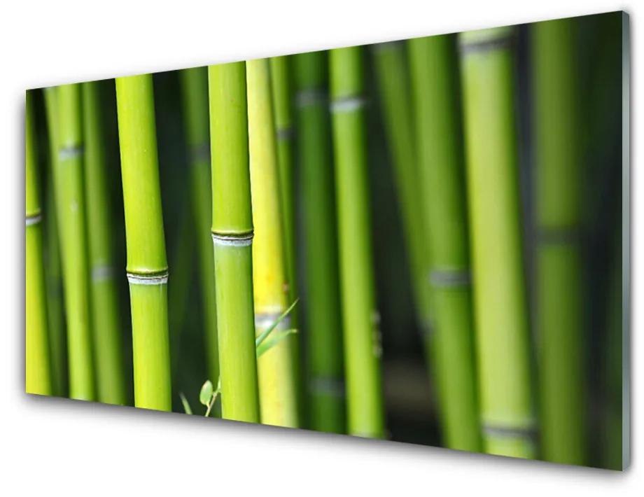 Glazen schilderij Nature installatie van het bamboe 100x50 cm