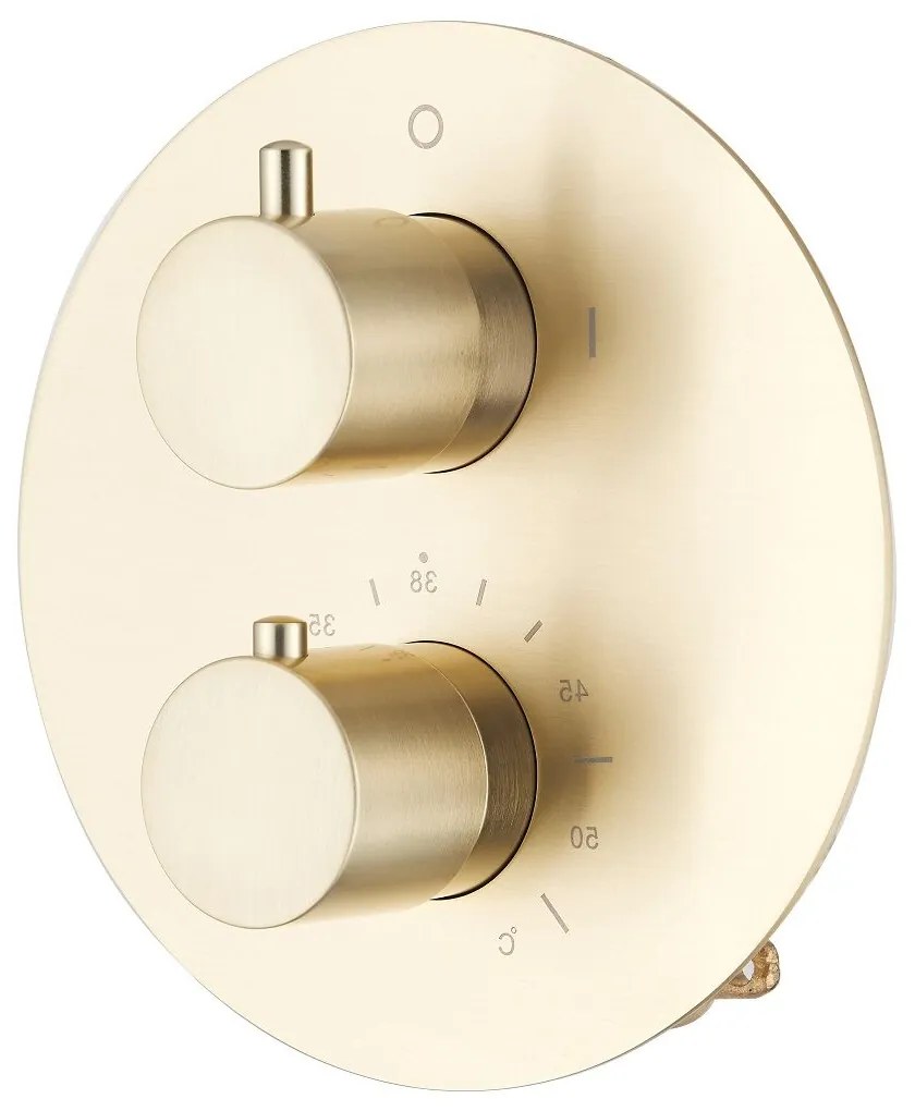 Saniclear Brass inbouw regendouche rond met 20cm hoofddouche, plafondarm en 2 standen handdouche geborsteld messing - mat goud
