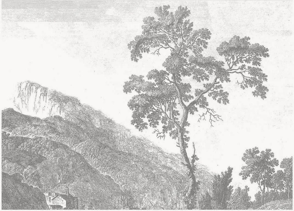 Vliesbehang Engraved Landscapes I