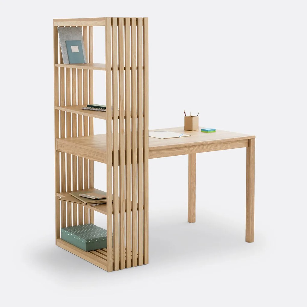 Omkeerbaar bureau boekenkast, Theonie