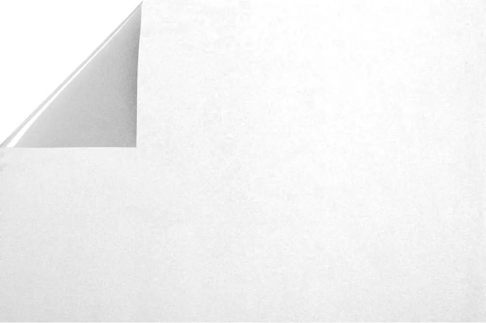 Statifix raamfolie Frost - helder transparant - 45 cm - Leen Bakker