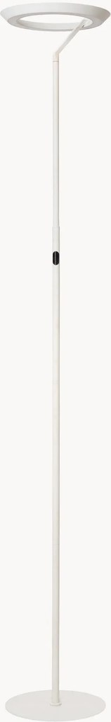 Dimbare LED-vloerlamp Celeste