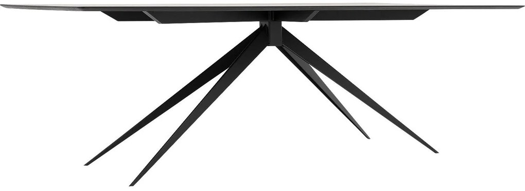 Goossens Excellent Eettafel Uniek, Rechthoekig 260 x 100 cm