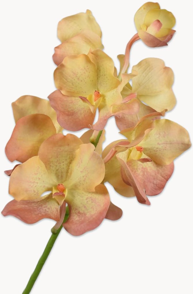 Handgemaakte kunstbloemen Vanda, 2-delig