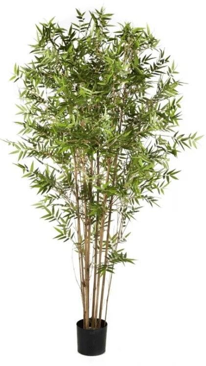 Japanse Kunst Bamboe - 150 cm