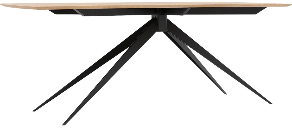 Goossens Excellent Eettafel Floyd, Semi rechthoekig 200 x 100 cm