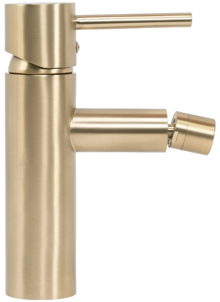 Bidetmengkraan Rea Tess Gold Brush