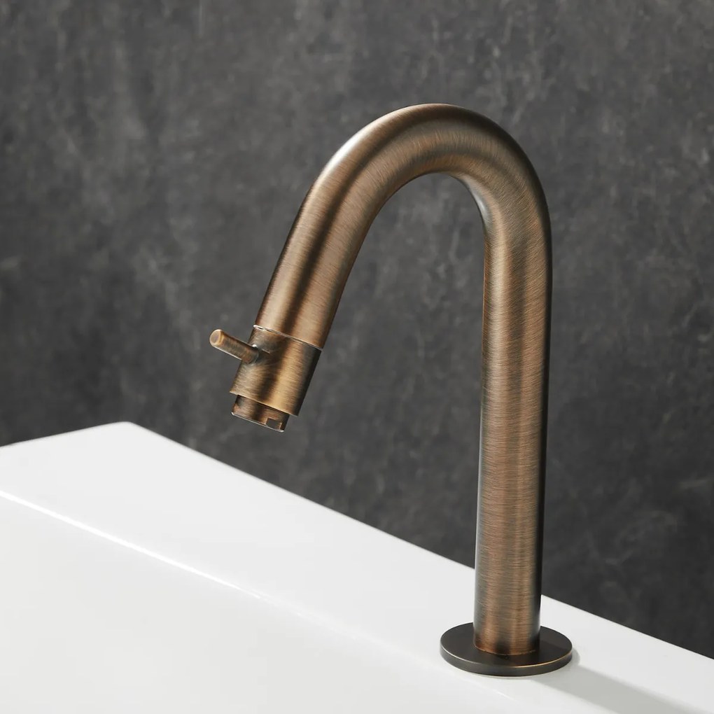 Saniclear Antique gebogen fonteinkraan verouderd messing