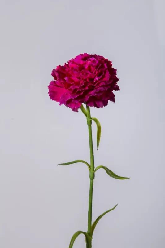 Viv! Body Luxuries - Anjer - zijden bloem - fel roze/paars - topkwaliteit zijde bloemen