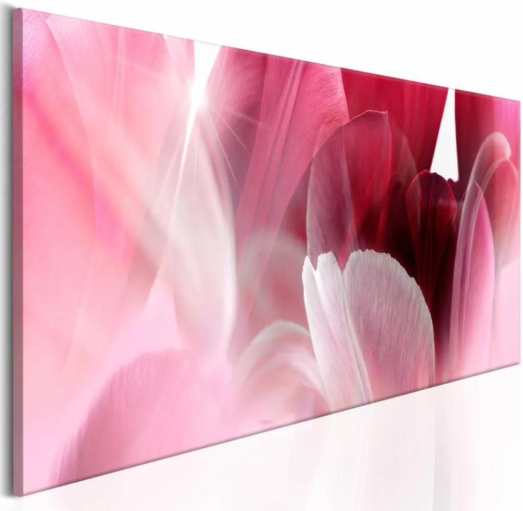 Schilderij - Bloemen: Roze Tulp